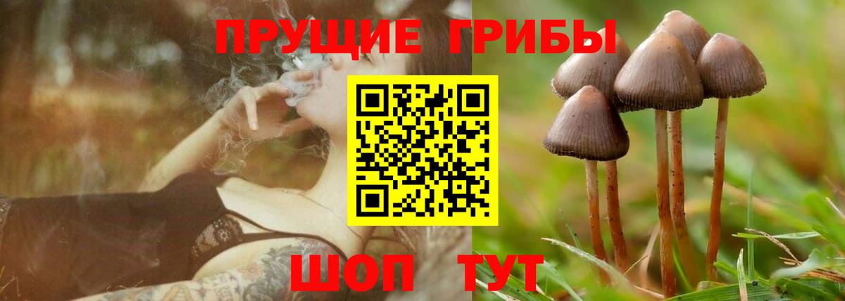 Псилоцибиновые грибы MAGIC MUSHROOMS  Вход с VPN  Гудермес 